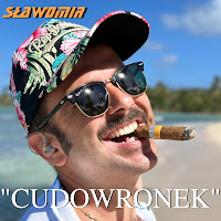 Sławomir - Cudowronek загрузить