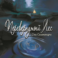 Сны Саламандры - Дикая Охота загрузить