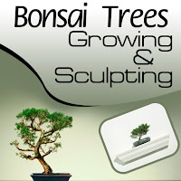 Society Of Landscaping And Yard Work Professionals - Spirituality And Bonsai Trees загрузить