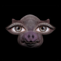 Sofia Isella - Us And Pigs загрузить