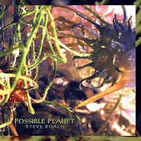 Steve Roach - Cell Memory загрузить