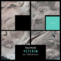 Tali Muss - Vetenim (Teklix Remix) загрузить