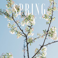Tell Your Story Music By Ikson™ - Spring загрузить
