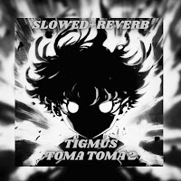 Tigmus - Toma Toma 2 (Brazilian Phonk) [Slowed + Reverb] загрузить