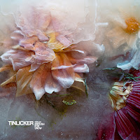 Tinlicker - Glasshouse (Feat. Julia Church) Ft Julia Church загрузить