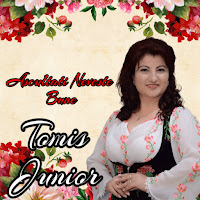Tomis Junior - Hora Noastra-I Veche загрузить