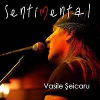 Vasile Șeicaru - Nu Ai Vrut Să M-Aștepți загрузить