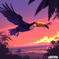 Vdycd - Toucan Exotique загрузить