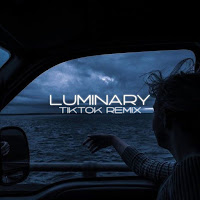 Venax - Luminary (Tiktok Remix) загрузить