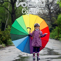 Voltaj - Copile загрузить