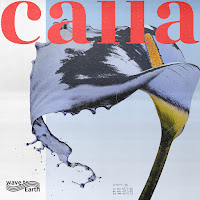 Wave To Earth - Calla загрузить