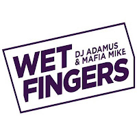 Wet Fingers - Hi Fi Superstar (Radio Edit) Ft Dj Adamus & Mafia Mike загрузить