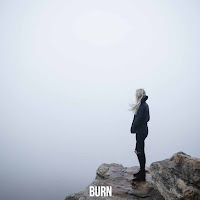 Whitewildbear - Burn загрузить