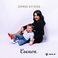Обложка песни 