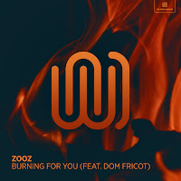 Zooz - Burning For You (Feat. Dom Fricot) загрузить